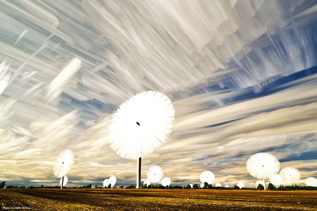 Matt Molloy