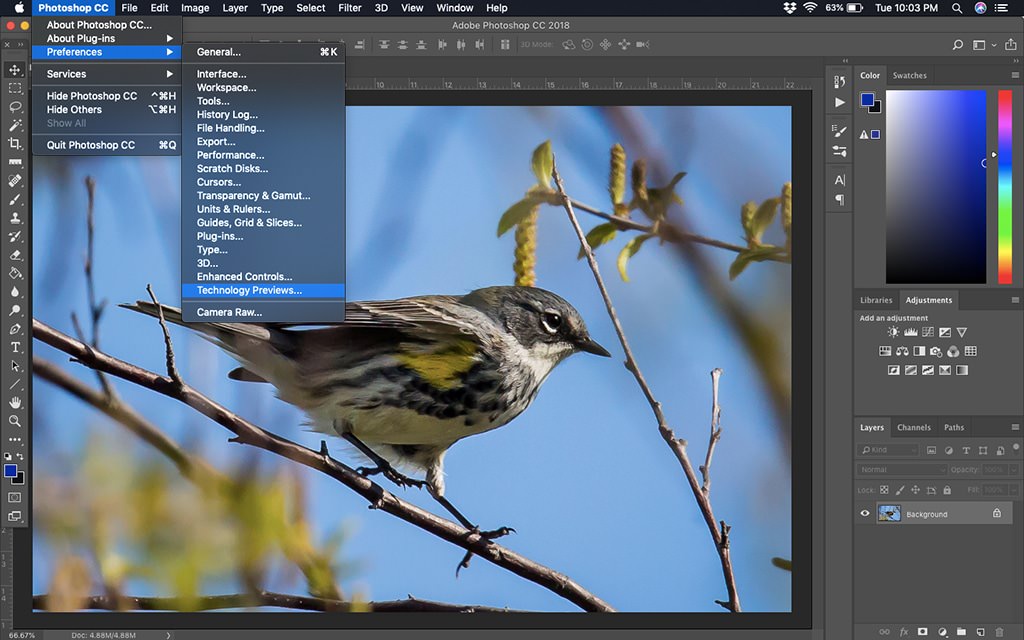 Conserve los detalles al aumentar la escala de las imágenes de Photoshop