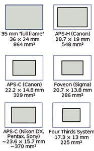 ¿Qué define una DSLR profesional?