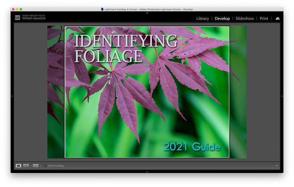 Superposición de lupa de Lightroom – Revista de fotografías digitales