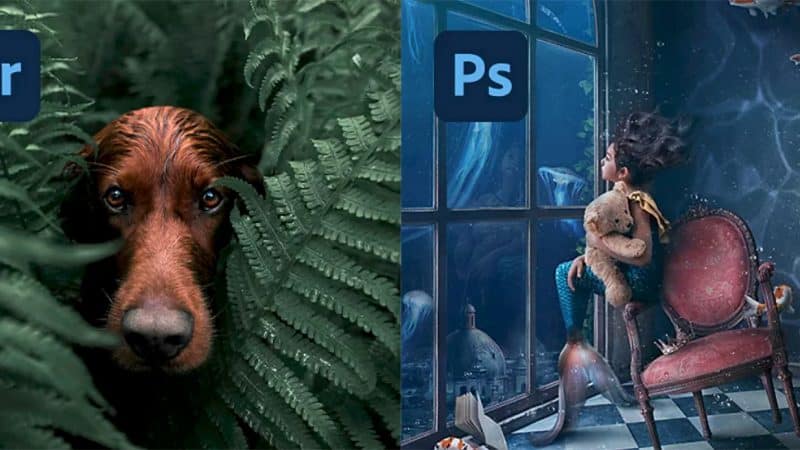 Lightroom vs Photoshop 2021: ¿Cuál es la diferencia entre estos dos programas de Adobe?